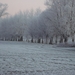 DSC00098