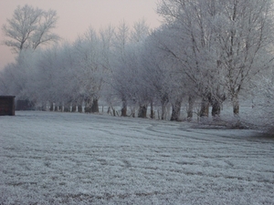 DSC00098