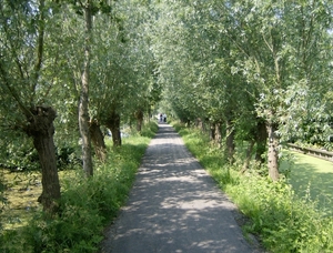 KINDERDIJK