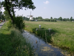 KINDERDIJK