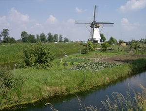 KINDERDIJK