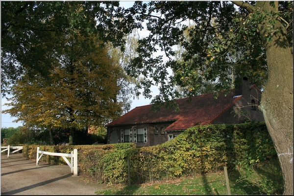 boerderij,herfst,bomen,herfstkleuren,architectuur,lucht