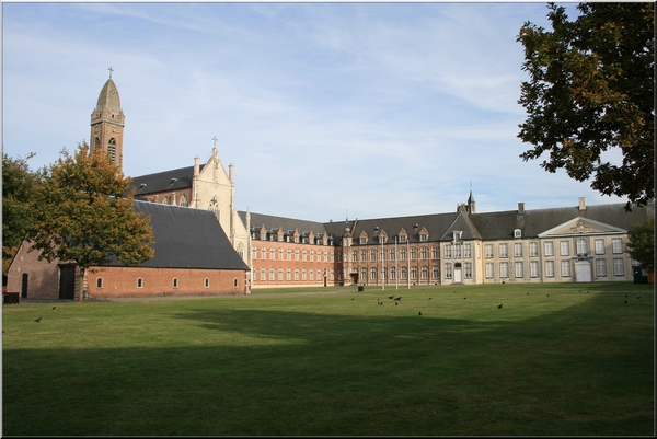 abdij,tongerlo,architectuur,herfst,bomen,lucht,vogels