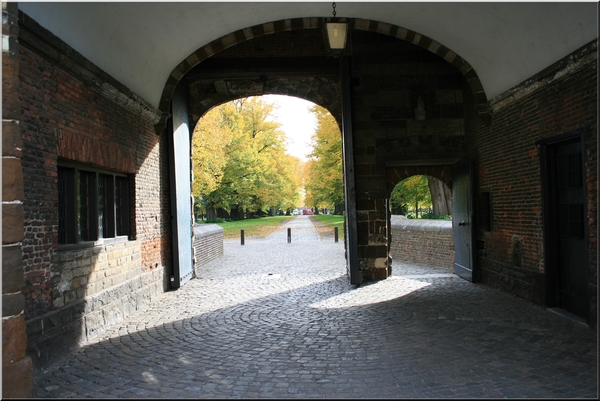 abdij,tongerlo,architectuur,herfst,bomen