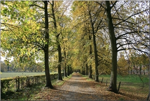 Herfstkleuren