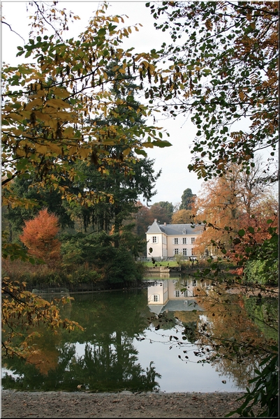kasteel,de Renesse,oostmalle,herfst,bomen,bladeren,herfstkleuren,water,vijver,architecture