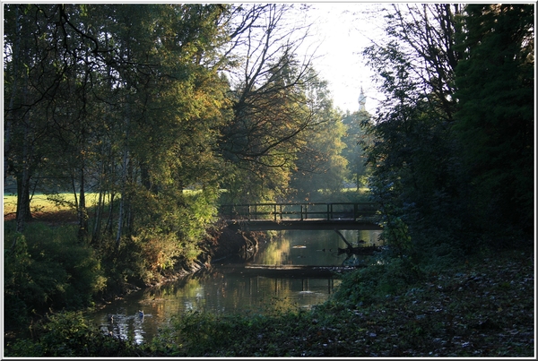 ochtend wandeling,deurne,antwerpen,herfst,bomen,water,brug