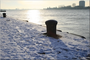 Winter aan de Schelde