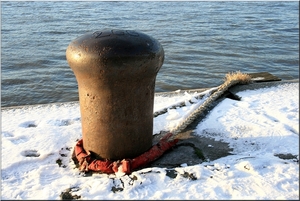 Winter aan de Schelde in Antwerpen