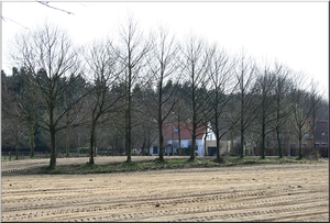 Landschap