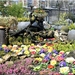 Lente in de stadstuin De Kruidtuin in Antwerpen.