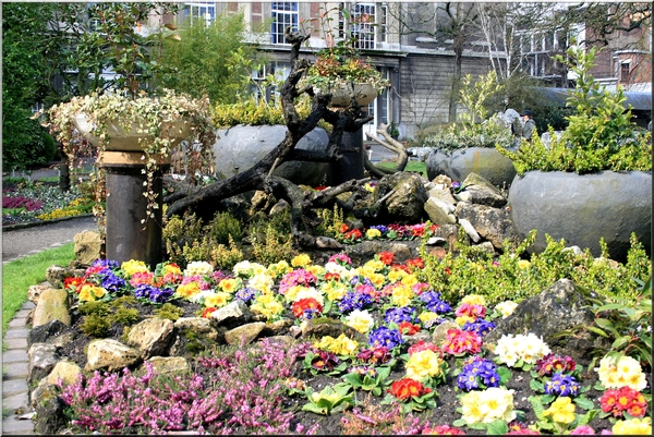 De Kruidtuin,Antwerpen,bloemen,planten,lente,bomen,architectuur