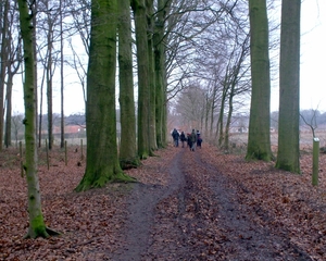 aangenaam wandelen op wegels