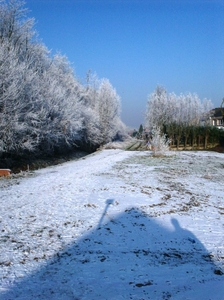 10 januari 2009 015