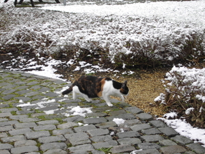 grotten Rochefort 053