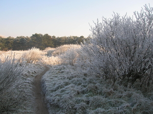 Wandelpadje