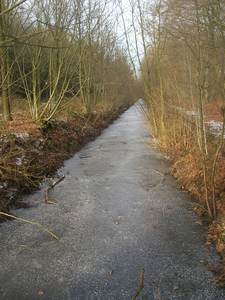 Beekje