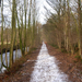 Door het bos