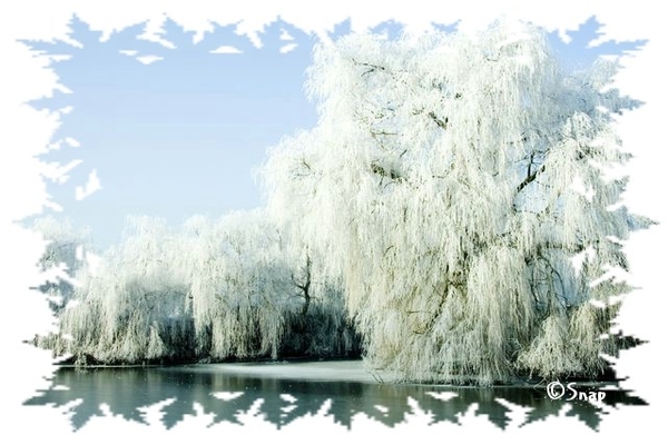Wintersfeer 2009 (24)