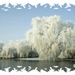 Wintersfeer 2009 (25)