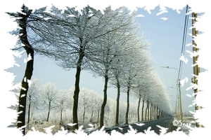 Wintersfeer 2009 (3)