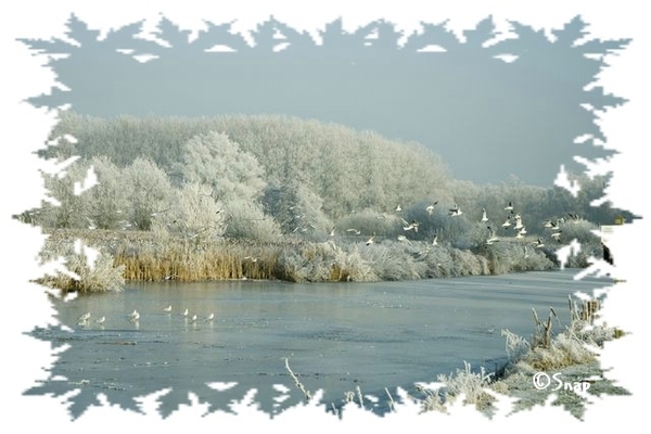 Wintersfeer 2009 (34)