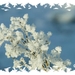 Wintersfeer 2009 (51)