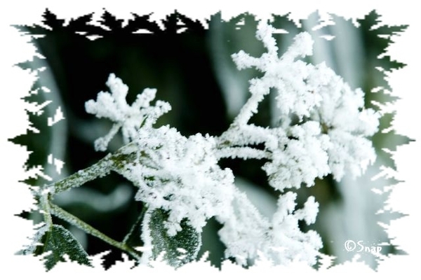 Wintersfeer 2009 (70)