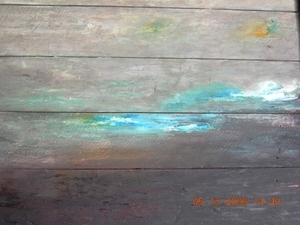 DSCN0334