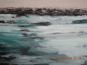 DSCN0341