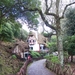 Madeira 039