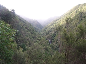 Madeira 044