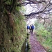 Madeira 047