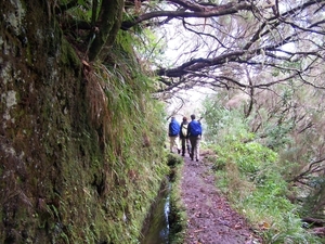 Madeira 047