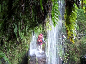 Madeira 052