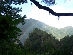 Madeira 053
