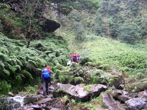Madeira 063