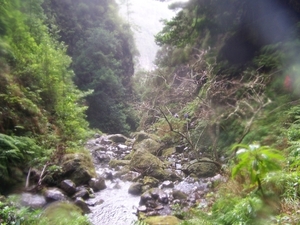 Madeira 068