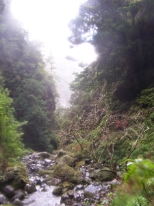 Madeira 069