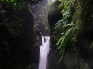 Madeira 087