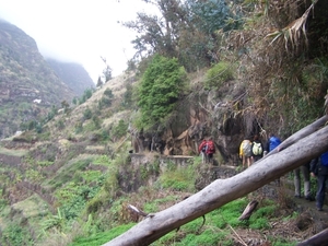 Madeira 094
