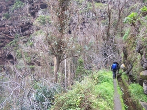 Madeira 096