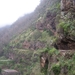 Madeira 097