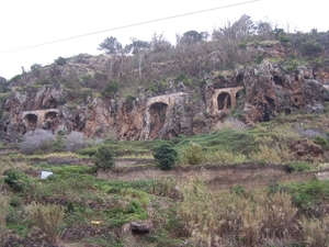 Madeira 101