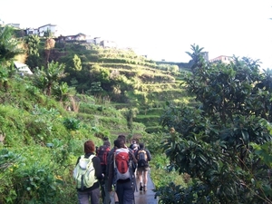 Madeira 106