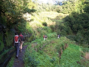 Madeira 108