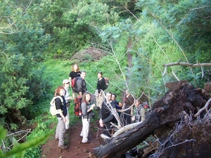 Madeira 109