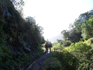 Madeira 111