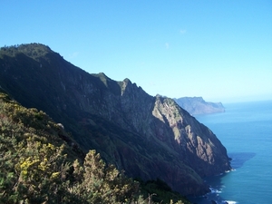 Madeira 115