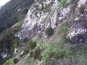 Madeira 118